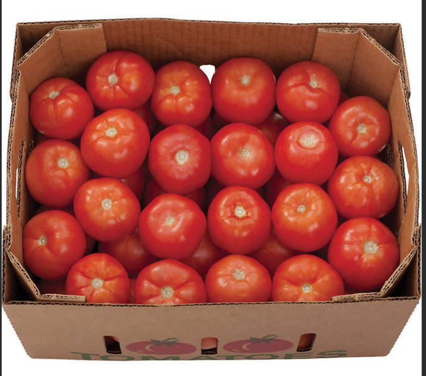 Tomato 10kg