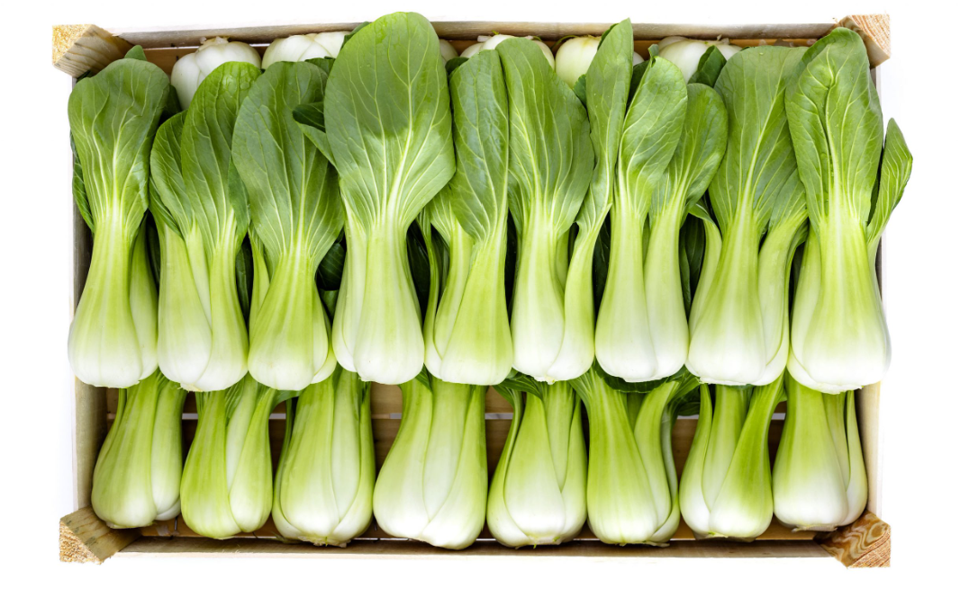 bokchoy.png
