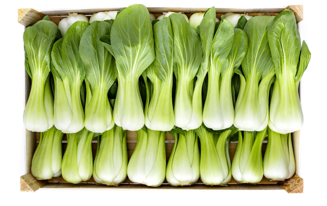 Bokchoy box (50 Bunch)