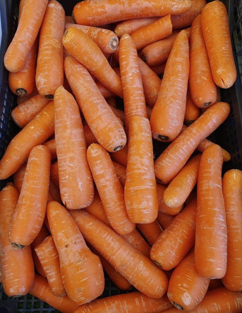Carrots 10 kg bag