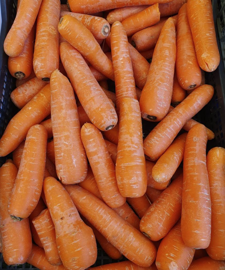 carrots.png