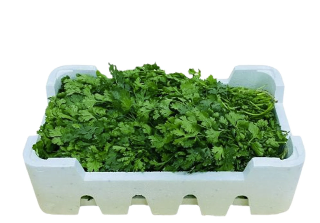 Coriander box (50 Bunch)