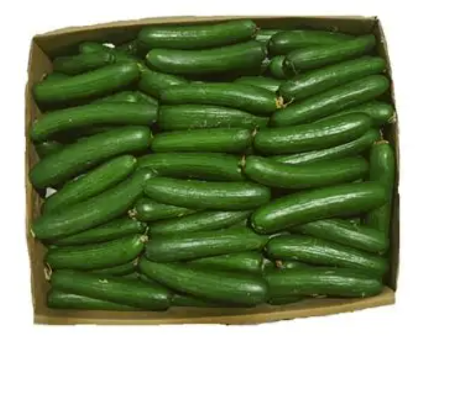 cucumberboccionti.png
