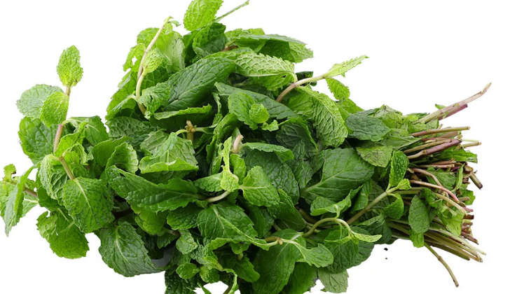 mintleaves.png